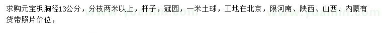 求購(gòu)胸徑13公分元寶楓