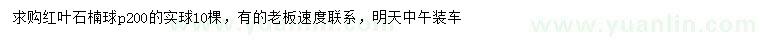 求購冠幅200公分紅葉石楠球