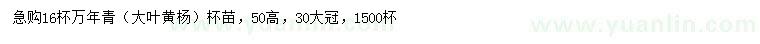 求購高50公分萬年青