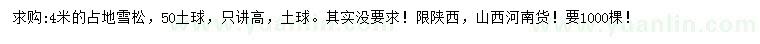 求購4米雪松