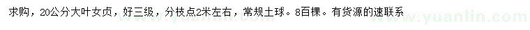 求購20公分大葉女貞