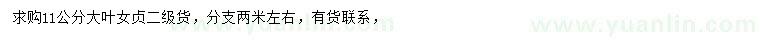 求購(gòu)11公分大葉女貞