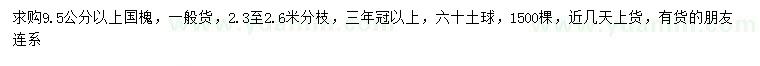 求購9.5公分以上國槐