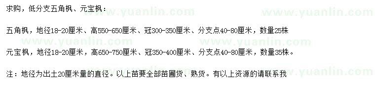求購(gòu)20量18-20公分五角楓、元寶楓