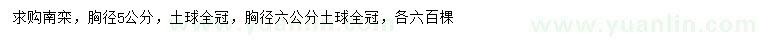 求購胸徑5、6公分南欒
