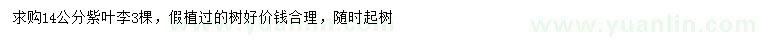 求購14公分紫葉李