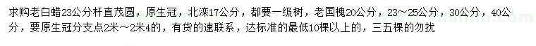 求購老白蠟、北欒、老國槐