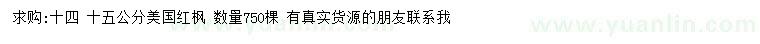 求購14、15公分美國紅楓