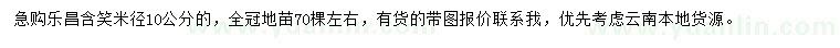 求購米徑10公分樂昌含笑