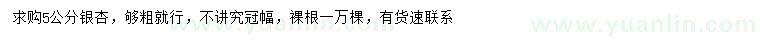 求購5公分銀杏