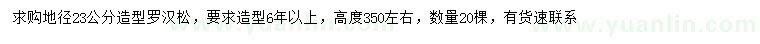 求購地徑23公分造型羅漢松