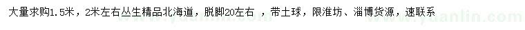 求購1.5、2米左右叢生北海道黃楊
