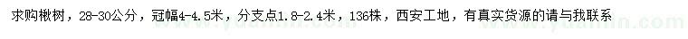 求購28-30公分楸樹