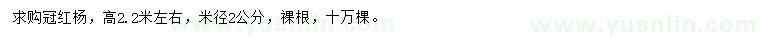 求購高2.2米左右冠紅楊