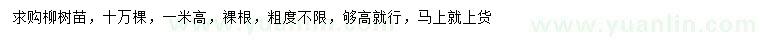 求購高1米柳樹