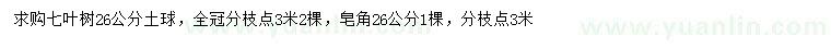 求購26公分七葉樹、皂角