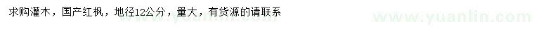 求購地徑12公分紅楓