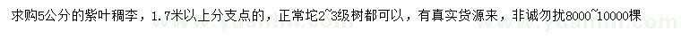 求購5公分紫葉稠李