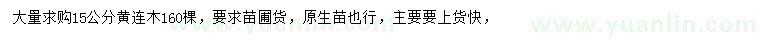求購(gòu)15公分黃連木