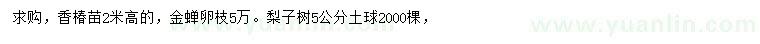 求購香椿苗、金蟬卵枝、梨子樹