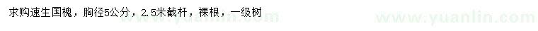 求購胸徑5公分速生國槐
