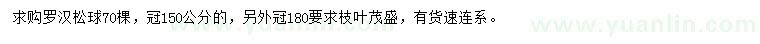 求購冠150、180公分羅漢松球