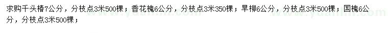 求購(gòu)千頭椿、香花槐、旱柳等