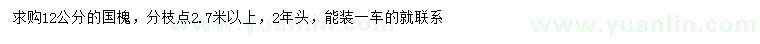 求購12公分國槐