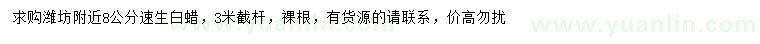 求購8公分速生白蠟