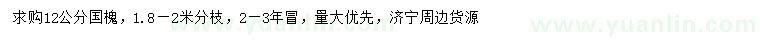 求購12公分國槐