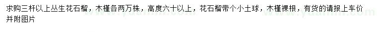 求購高60公分以上叢生花石榴、木槿