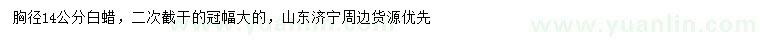 求購(gòu)14公分白蠟