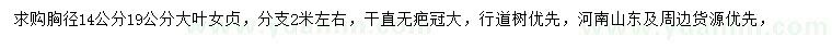 求購14、19公分大葉女貞