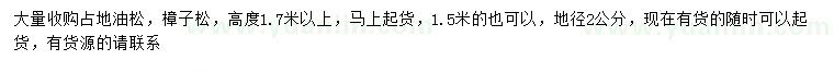 求購地徑2公分油松、樟子松