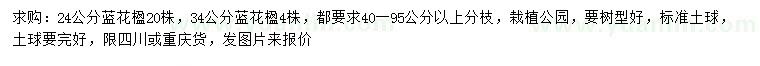 求購24、34公分藍(lán)花楹