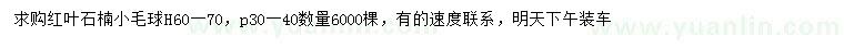 求購(gòu)冠幅30-40公分紅葉石楠球