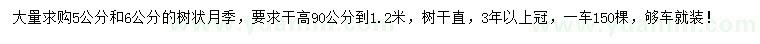 求購5、6公分樹狀月季