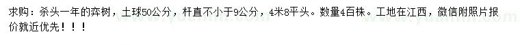 求購9公分以上欒樹
