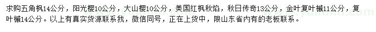 求購(gòu)五角楓、陽(yáng)光櫻，大山櫻等