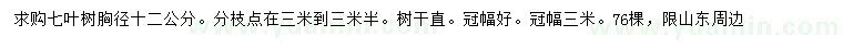 求購胸徑12公分七葉樹