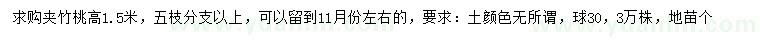 求購高1.5米夾竹桃