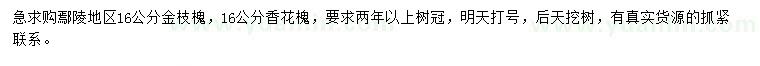 求購16公分金枝槐、香花槐