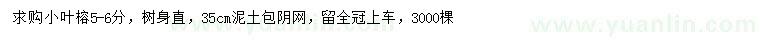 求購5-6公分小葉榕