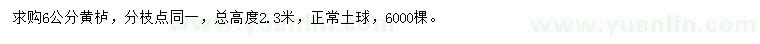 求購(gòu)6公分黃櫨