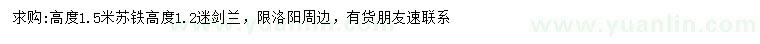 求購(gòu)高1.5米蘇鐵