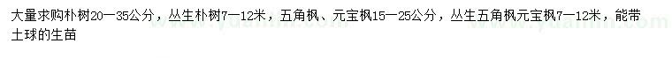 求購樸樹、叢生樸樹、五角楓等