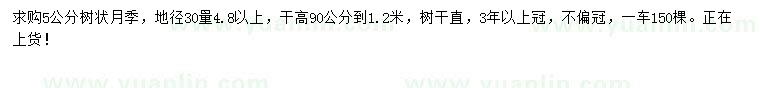 求購30量4.8公分以上樹狀月季