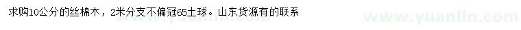 求購10公分絲棉木