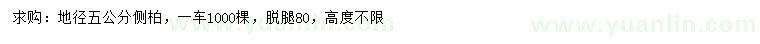 求購(gòu)地徑5公分側(cè)柏