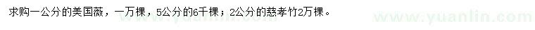 求購(gòu)1、5公分美國(guó)紫薇、2公分慈孝竹